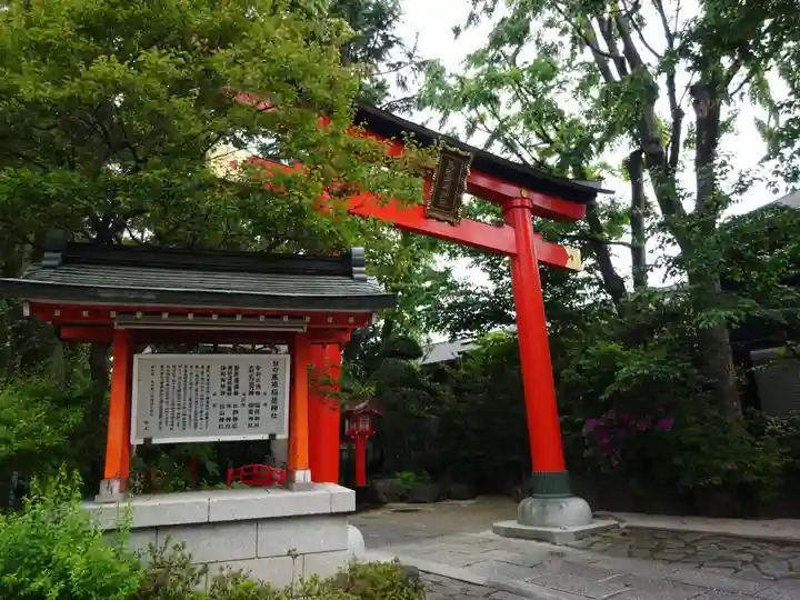 馬橋稲荷神社の鳥居