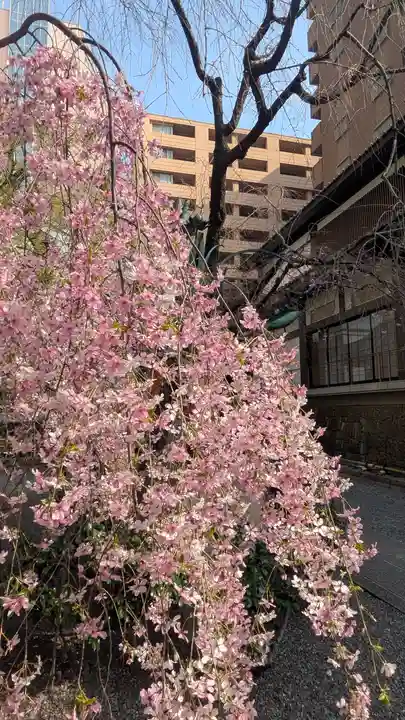 頂法寺(六角堂)(京都府)
