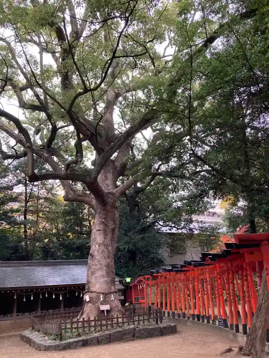 大市八幡神社(兵庫県)