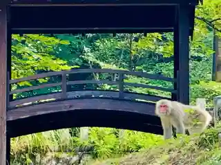 土津神社｜こどもと出世の神さま(福島県)