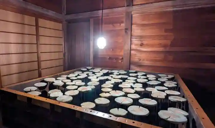 金蛇水神社のその他建物