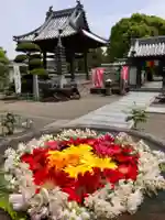 真言宗 善通寺派 薬王寺(香川県)