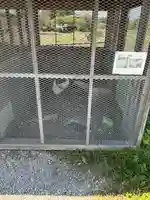 武蔵國八海山神社(埼玉県)