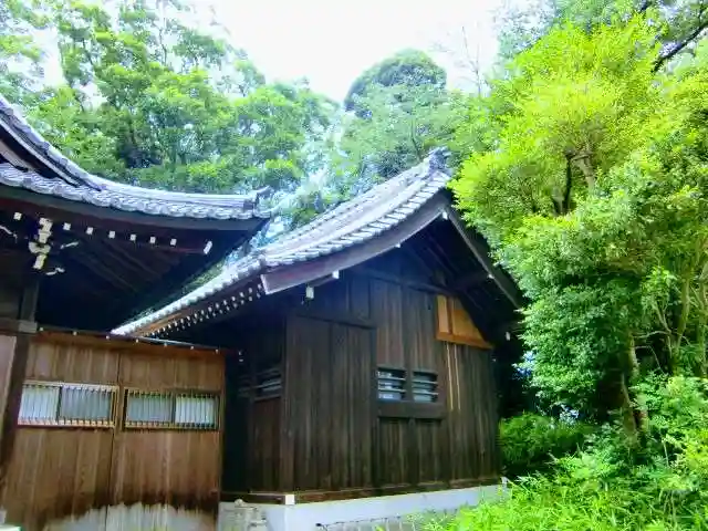 高田天満宮の本殿・本堂