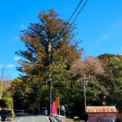 武速神社(静岡県)