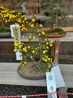 諏訪大社下社秋宮(長野県)