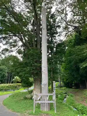 諏訪大社上社前宮(長野県)