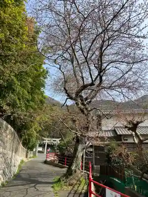 大山祇神社のその他建物
