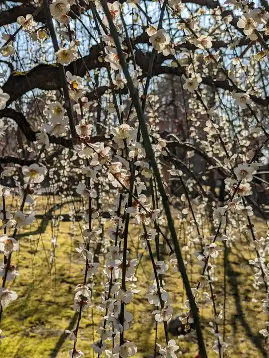 城南宮(京都府)