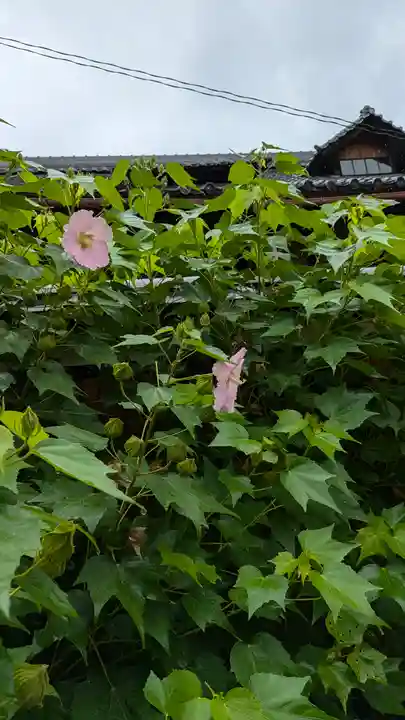 本法寺(京都府)