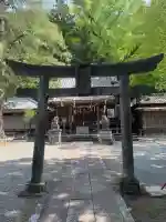 白瀧神社の{uncategorized: "未分類", other: "その他", undefined: "問題あり", building: "その他建物", grave: "お墓", sacred_gate: "鳥居", guardian: "狛犬", statue: "像", buddha: "仏像", history: "歴史", nature: "自然", garden: "庭園", animal: "動物", pagoda: "塔", temizu: "手水舎", mountain_gate: "山門・神門", sanctuary: "本殿・本堂", subordinate: "末社・摂社", art: "芸術", scenery: "景色", jizo: "地蔵", ema: "絵馬", goshuin: "御朱印", omikuji: "おみくじ", items: "授与品その他", amulet: "お守り", goshuincho: "御朱印帳", eats: "食事", festival: "お祭り", votive_dance: "神楽", shichigosan: "七五三参", wedding: "結婚式", experience: "体験その他", initially: "初詣", around: "周辺", anti_infection: "感染症対策"}