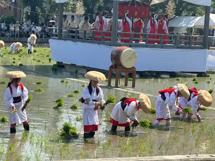 住吉大社(大阪府)