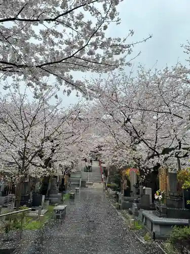 浄心寺(東京都)