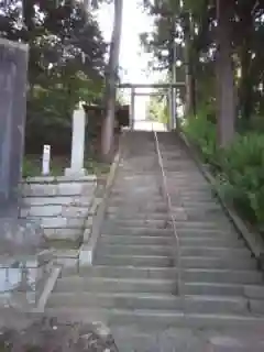 稲田神社の鳥居