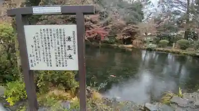 富士山本宮浅間大社(静岡県)