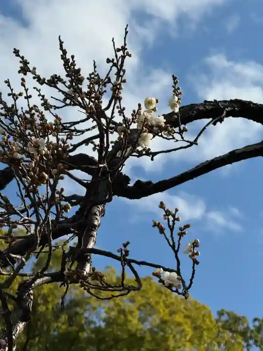 芝東照宮(東京都)