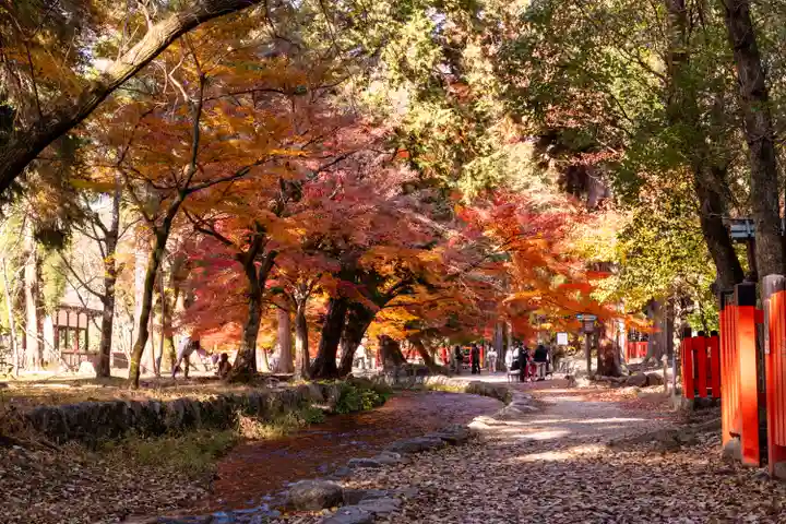 賀茂別雷神社(上賀茂神社)(京都府)