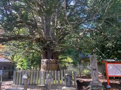 熊野速玉大社(和歌山県)