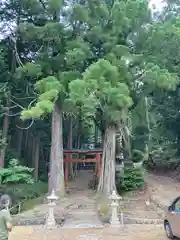 九頭神社(京都府)