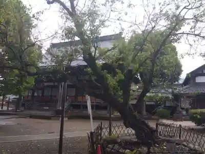 本興寺(福井県)