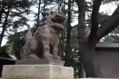 川口神社の狛犬