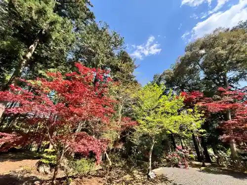 白毫寺熊野権現社(兵庫県)