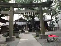 日本橋日枝神社(東京都)