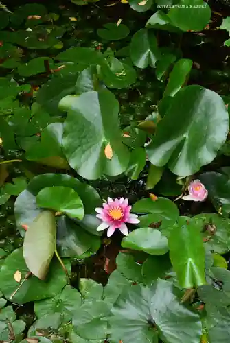 横浜御嶽神社(神奈川県)
