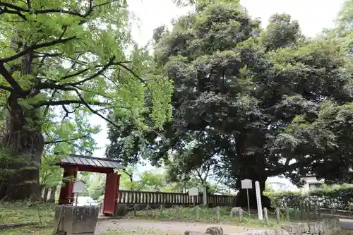 一之宮貫前神社(群馬県)