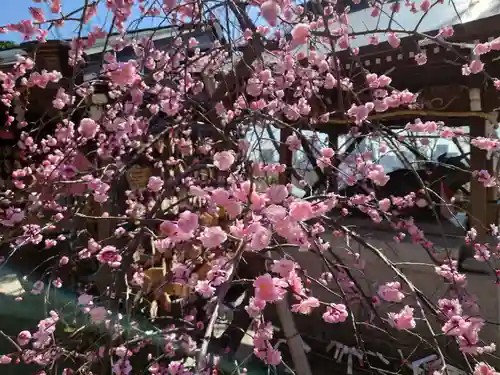 北野天満神社(兵庫県)