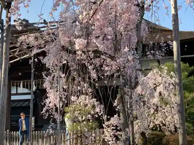 平安神宮(京都府)