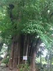 豊積神社(静岡県)