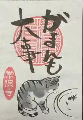 おまけの猫一言