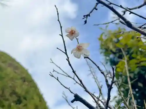 伊勢の国 四天王寺の御朱印