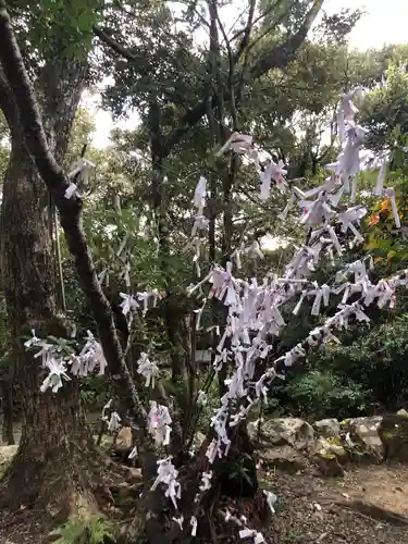 熊野神社のおみくじ