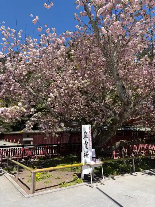 志波彦神社・鹽竈神社(宮城県)
