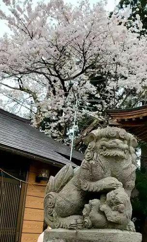 大山祇神社の狛犬