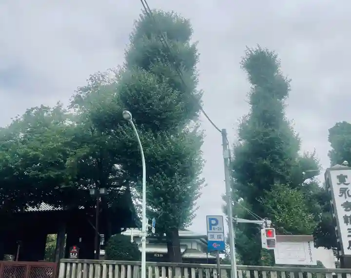 輪王寺両大師堂(寛永寺輪王殿)(東京都)