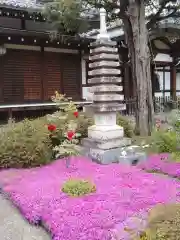 少林寺の塔