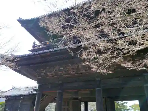 南禅寺の山門・神門