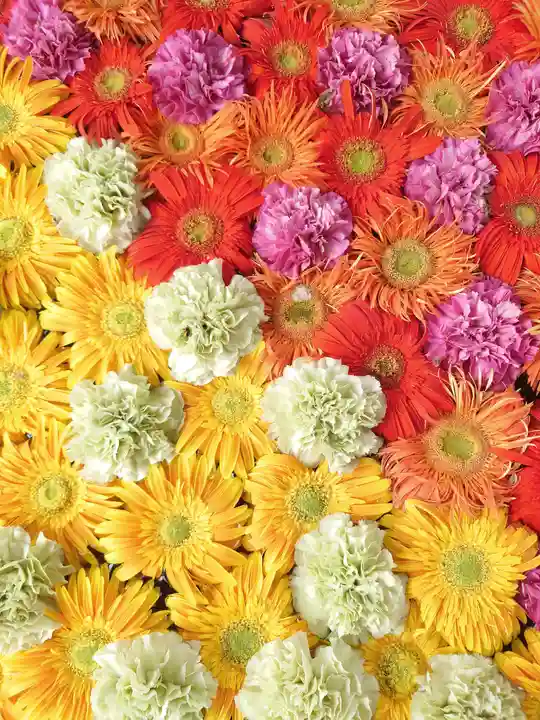 よみうりランド観音(東京都)