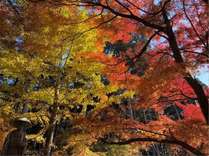 高山寺(兵庫県)