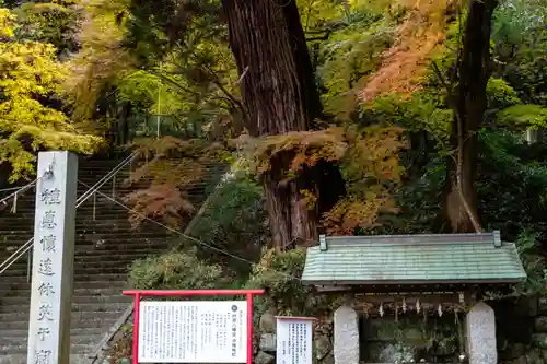 柞原八幡宮(大分県)
