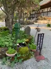 妙雲寺の庭園