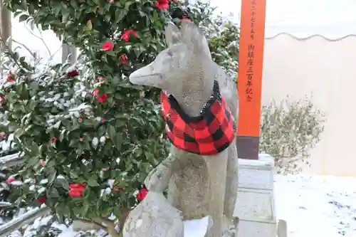 高屋敷稲荷神社の狛犬