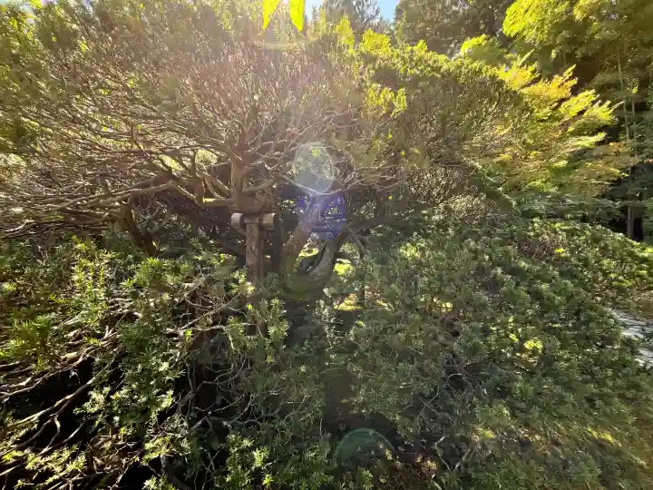 円通院(宮城県)