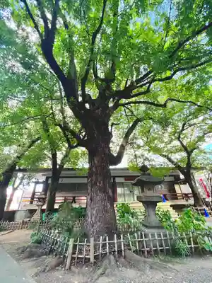 王子稲荷神社(東京都)