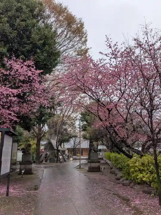 新井天神北野神社(東京都)