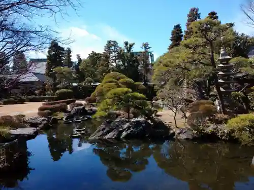 題経寺（柴又帝釈天）の庭園