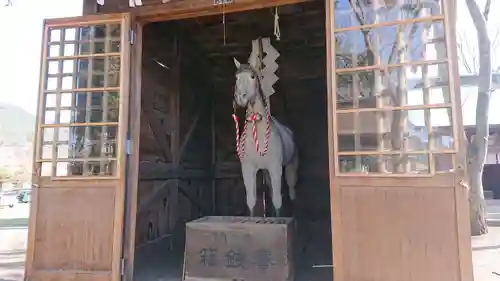 小室浅間神社の狛犬